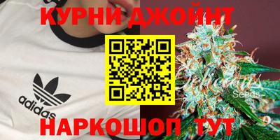 a pvp Краснознаменск