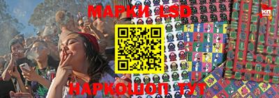 гидропоника Краснокаменск