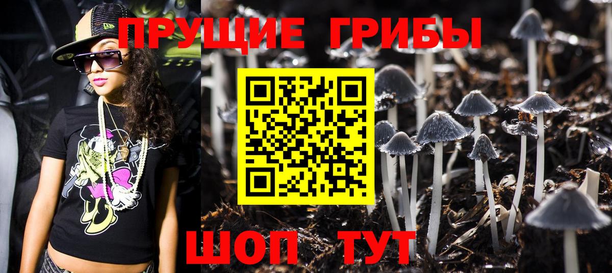 Псилоцибиновые грибы прущие грибы Кохма